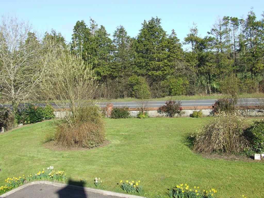 Rockfield House B&B Killarney Eksteriør billede