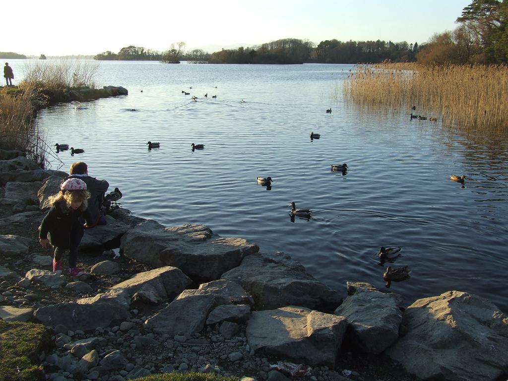 Rockfield House B&B Killarney Eksteriør billede