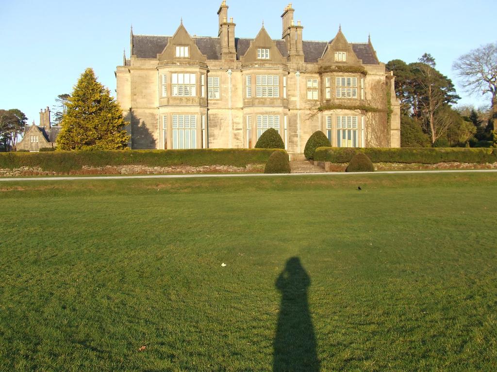 Rockfield House B&B Killarney Eksteriør billede
