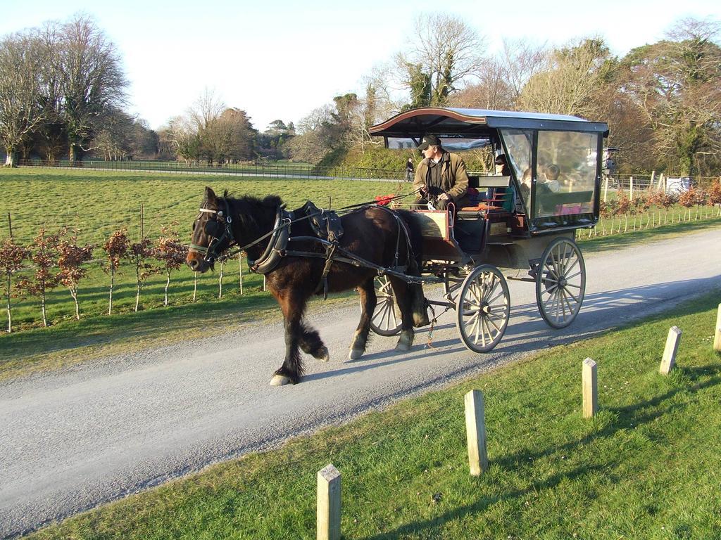 Rockfield House B&B Killarney Eksteriør billede